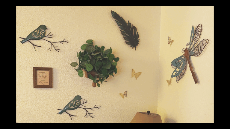 My ‘Garden Corner’