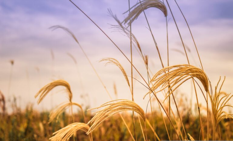 Poetry – Important AND Relevant